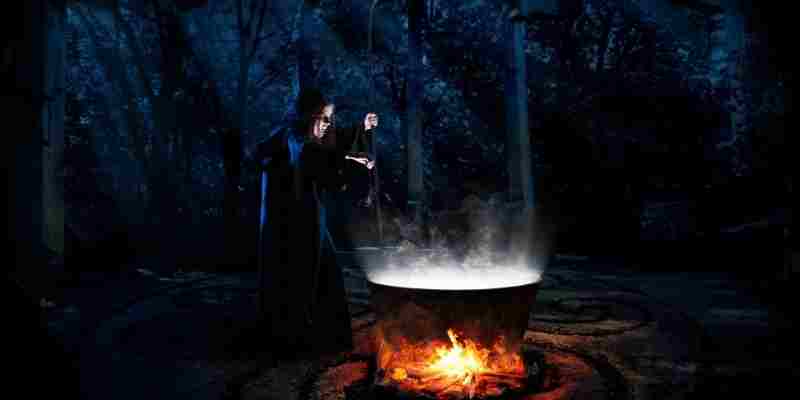 Nombre:  MejorBruja.jpg
Visitas: 77
Tamaño: 14.6 KB