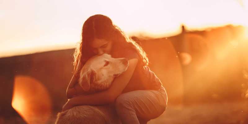 Nombre:  KindGesture.jpg
Visitas: 59
Tamaño: 15.9 KB