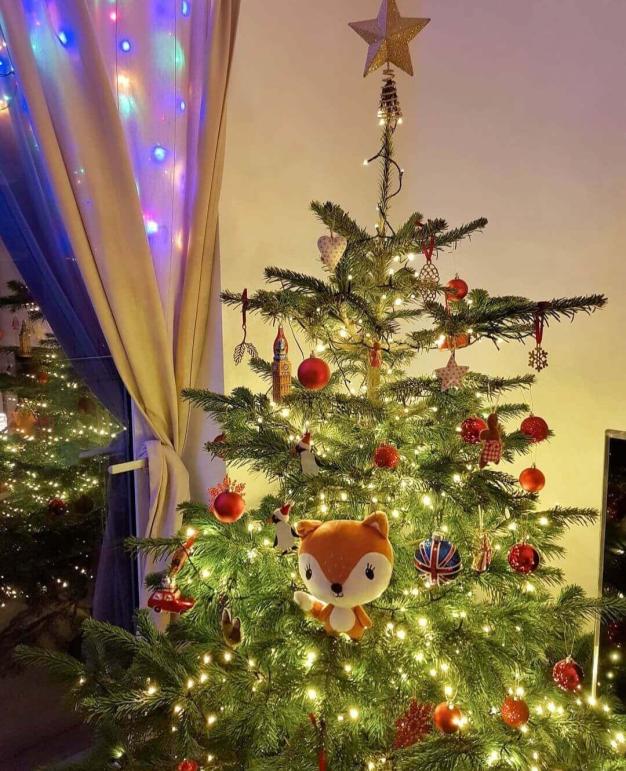 Nombre:  ArbolitoSensei.jpg
Visitas: 112
Tamaño: 97.4 KB