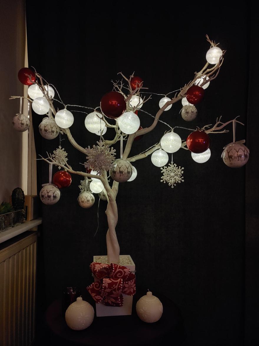 Nombre:  20221217_015653_HDR (1).jpg
Visitas: 52
Tamaño: 87.0 KB