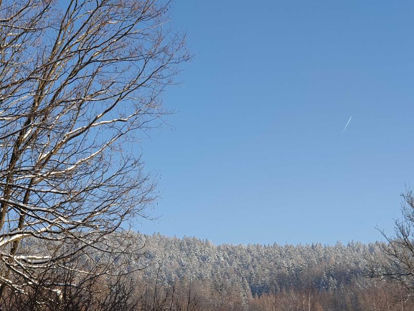 Name:  20221218_123453.jpg
Views: 102
Size:  97.5 KB