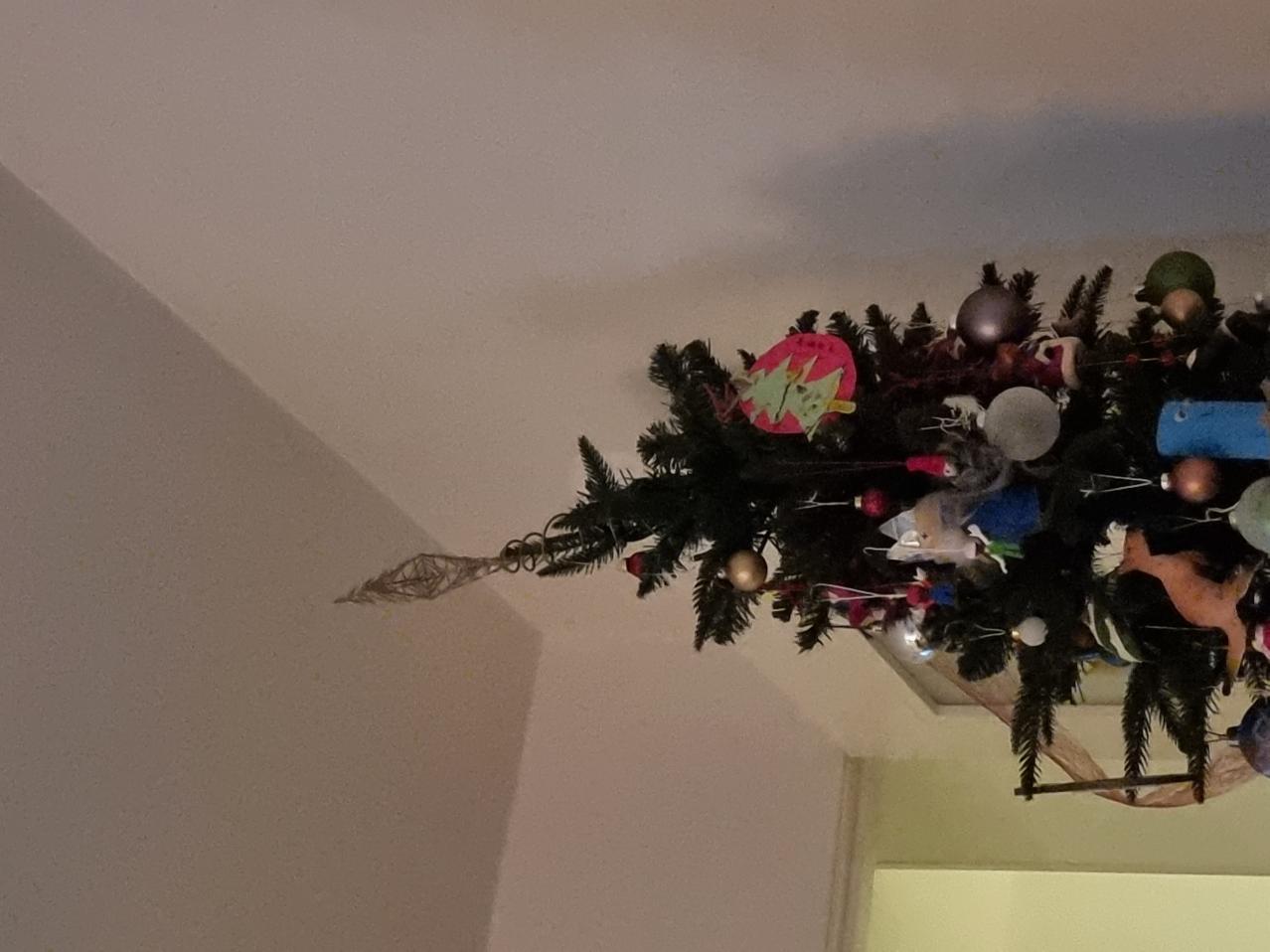 Nombre:  20221223_184657.jpg
Visitas: 30
Tamaño: 95.6 KB