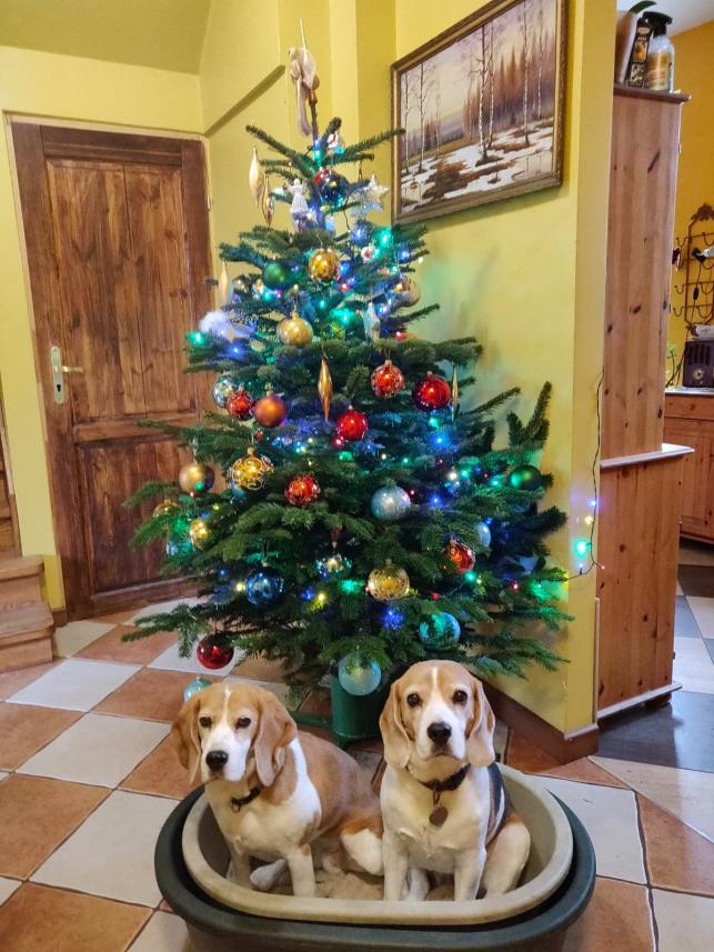 Name:  kopia.jpg
Views: 192
Size:  96.4 KB