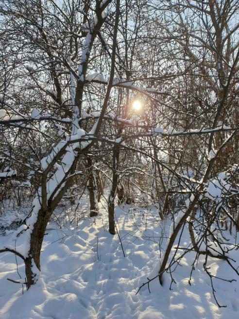 Name:  20221218_123210.jpg
Views: 63
Size:  103.4 KB