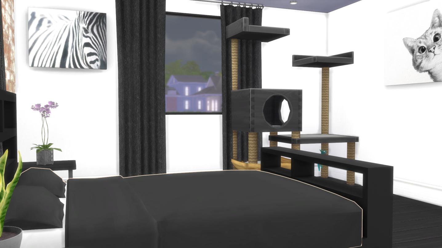 Name:  6.jpg
Views: 451
Size:  86.5 KB