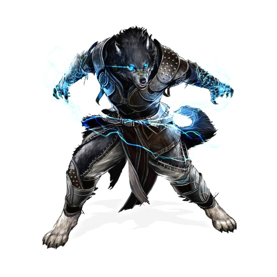 Name:  Wolf.jpg
Views: 201
Size:  77.0 KB