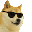 Name:  cool-doge (1).gif
Views: 444
Size:  38.3 KB