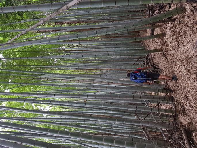 Nombre:  20170911_125217.jpg
Visitas: 86
Tamaño: 98.7 KB