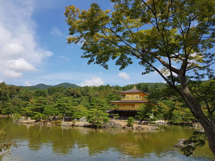 Nombre:  20170910_095932.jpg
Visitas: 90
Tamaño: 97.4 KB