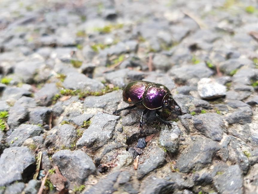 Nombre:  20170905_105451.jpg
Visitas: 85
Tamaño: 95.4 KB