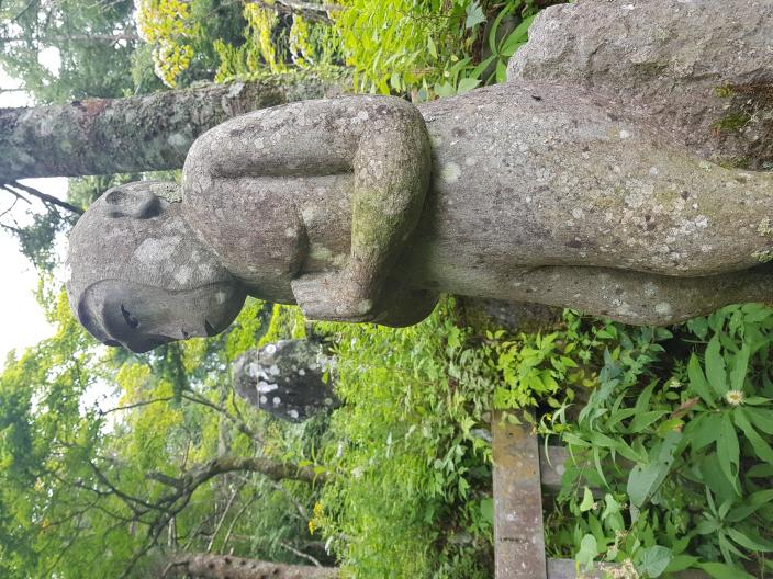 Nombre:  20170905_113519.jpg
Visitas: 88
Tamaño: 99.2 KB