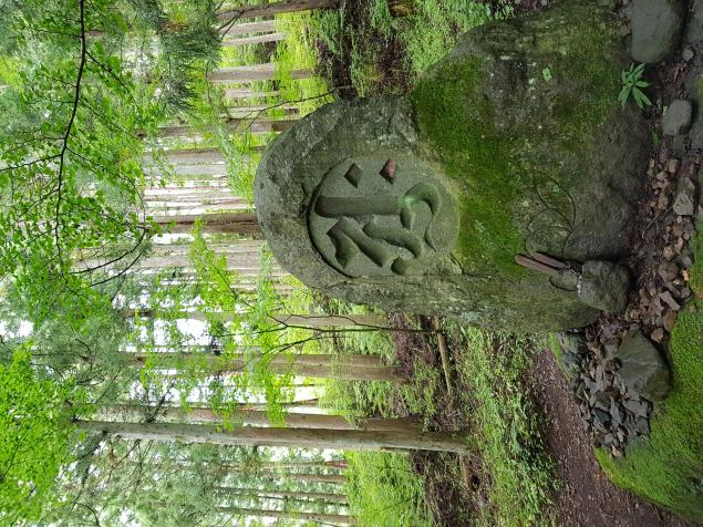 Nombre:  20170906_101453.jpg
Visitas: 87
Tamaño: 97.7 KB