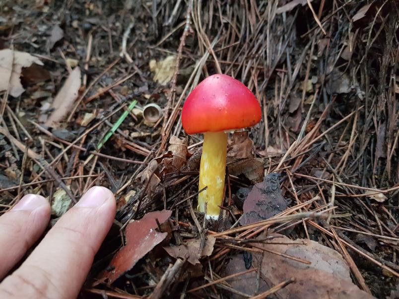 Nombre:  20170906_162524.jpg
Visitas: 86
Tamaño: 99.0 KB