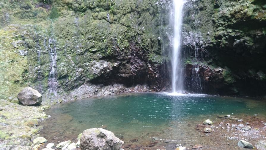 Nombre:  DSC_0558.jpg
Visitas: 40
Tamaño: 102.0 KB