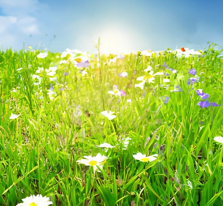 Name:  craiyon_182044_grass_rest_sun_beautiful_flowers.jpg
Views: 158
Size:  91.0 KB