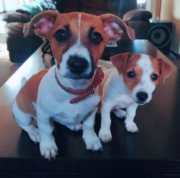 Name:  FB_IMG_1625581098088.jpg
Views: 1599
Size:  30.2 KB