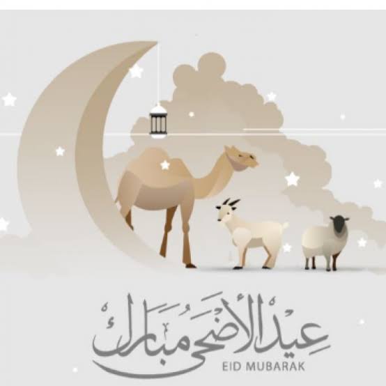 Name:  images (1).jpeg
Views: 84
Size:  15.3 KB