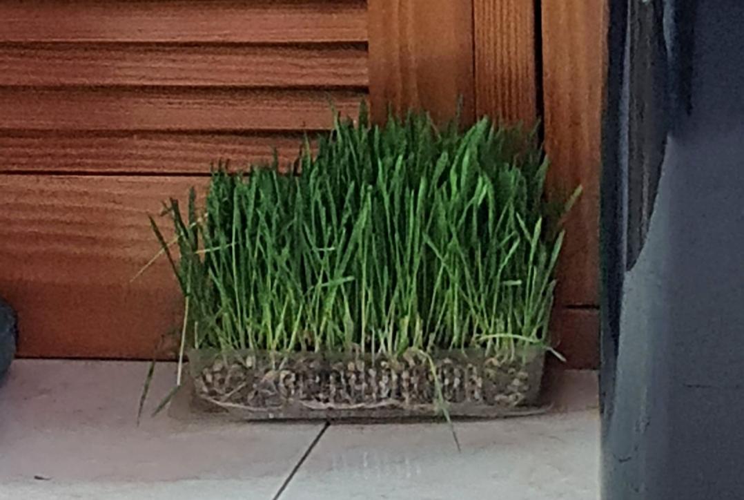 Nombre:  20230607_191628.jpg
Visitas: 60
Tamaño: 89.9 KB