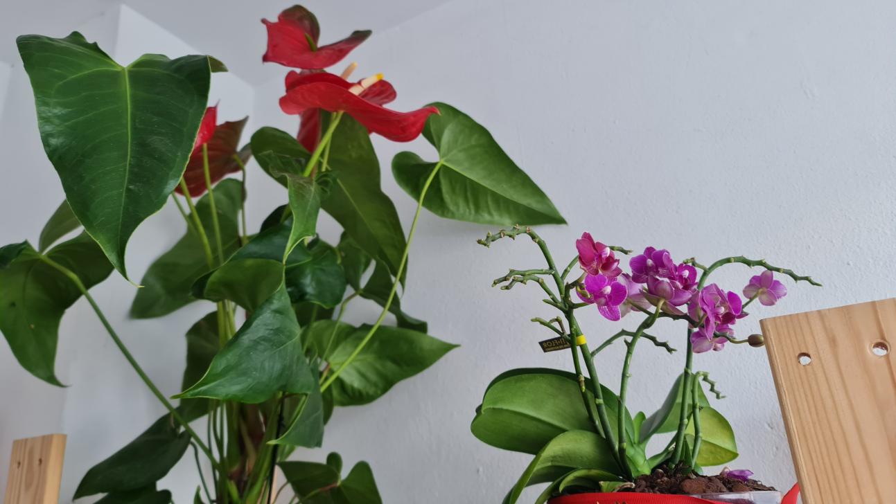 Nombre:  20230607_191832.jpg
Visitas: 57
Tamaño: 89.4 KB