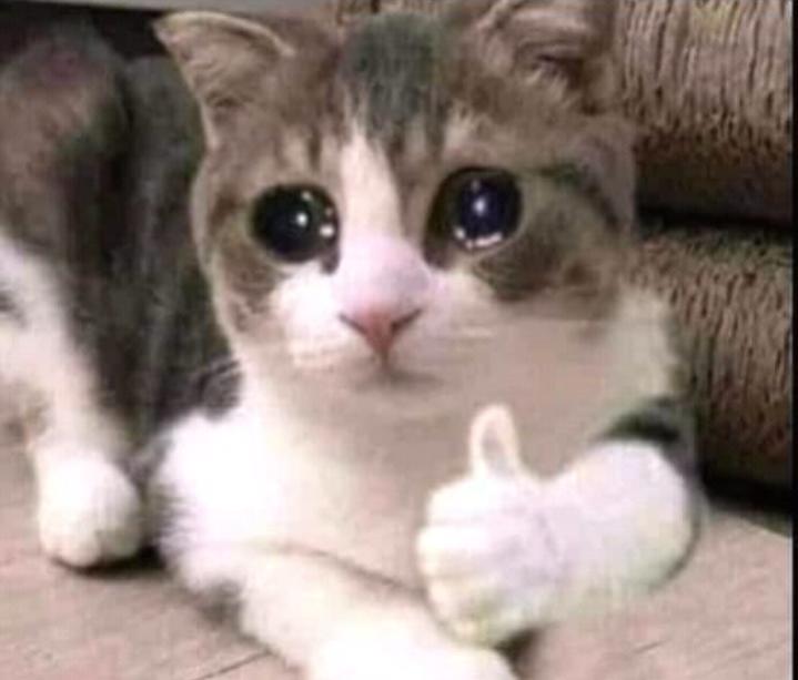 Name:  Polish_٢٠٢٣٠٦٠٨_٠٧١٨٠٠١٥٣.jpg
Views: 87
Size:  36.0 KB