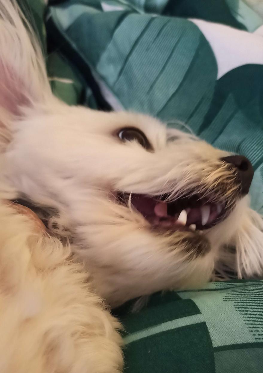 Name:  1686226971122.jpg
Views: 95
Size:  85.3 KB