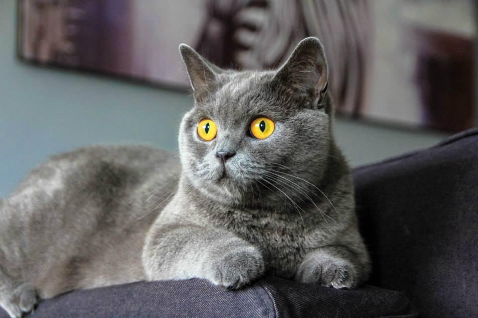 Name:  a0df273d-24e8-4c8d-91e0-335c9047a588.jpg
Views: 93
Size:  67.3 KB