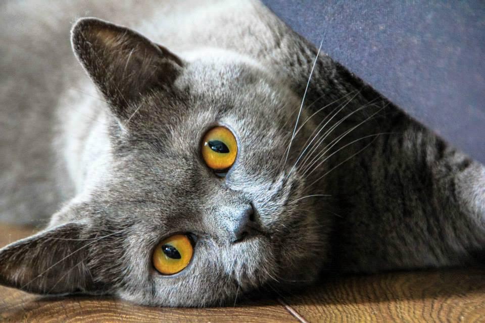 Name:  ac02cc7e-76de-43ab-b9d8-a1d4e87e910c.jpg
Views: 93
Size:  88.3 KB