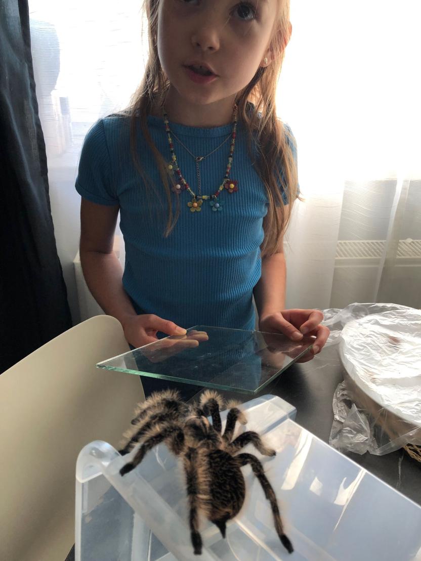 Name:  4a1141a8-8935-4d8f-a5ce-e3c6f6f15941.jpg
Views: 94
Size:  87.9 KB