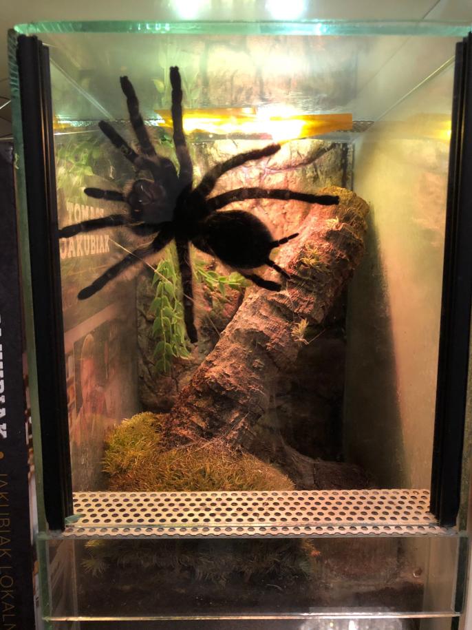 Name:  c0d06377-aec1-4cfd-b60f-37ffa0b2e13c.jpg
Views: 90
Size:  93.9 KB