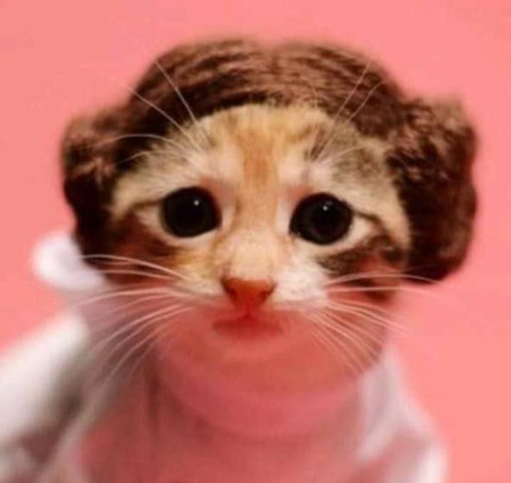 Name:  Polish_٢٠٢٣٠٦٠٨_٠٧٤٠٢٣٥٧٨.jpg
Views: 74
Size:  33.3 KB