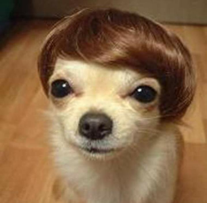 Name:  Polish_٢٠٢٣٠٦٠٨_٠٧٢٢١٥٥٢٨.jpg
Views: 75
Size:  33.9 KB