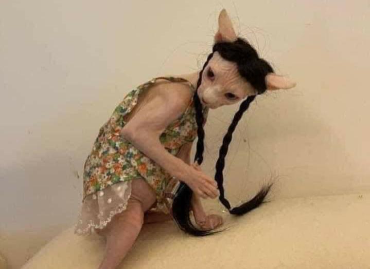 Name:  Polish_٢٠٢٣٠٦٠٨_٠٧٢٤٤٨٩٧٥.jpg
Views: 78
Size:  26.9 KB