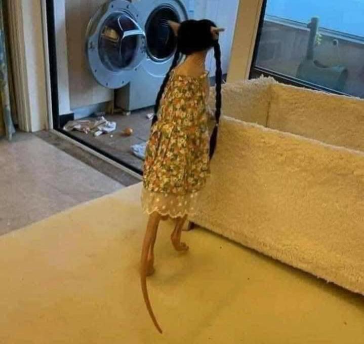 Name:  Polish_٢٠٢٣٠٦٠٨_٠٧٢٤١٢٢٥١.jpg
Views: 77
Size:  47.6 KB