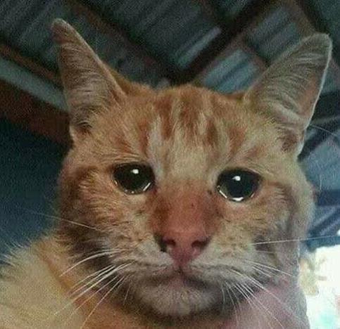 Name:  Polish_٢٠٢٣٠٦٠٨_٠٧٢٣١٦٧٢١.jpg
Views: 69
Size:  38.0 KB