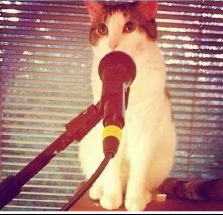 Name:  Polish_٢٠٢٣٠٦١١_١٠٠٦٣٤٦٠٢.jpg
Views: 55
Size:  60.9 KB