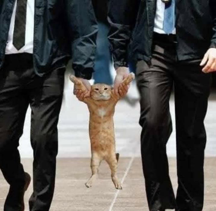 Name:  Polish_٢٠٢٣٠٦٠٨_٠٧٢٦٠٥٢٠٣.jpg
Views: 49
Size:  47.0 KB