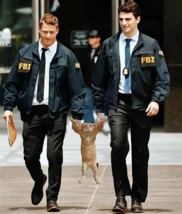 Name:  Polish_٢٠٢٣٠٦١٣_١٢٣١٢٧٢٤٦.jpg
Views: 49
Size:  49.6 KB