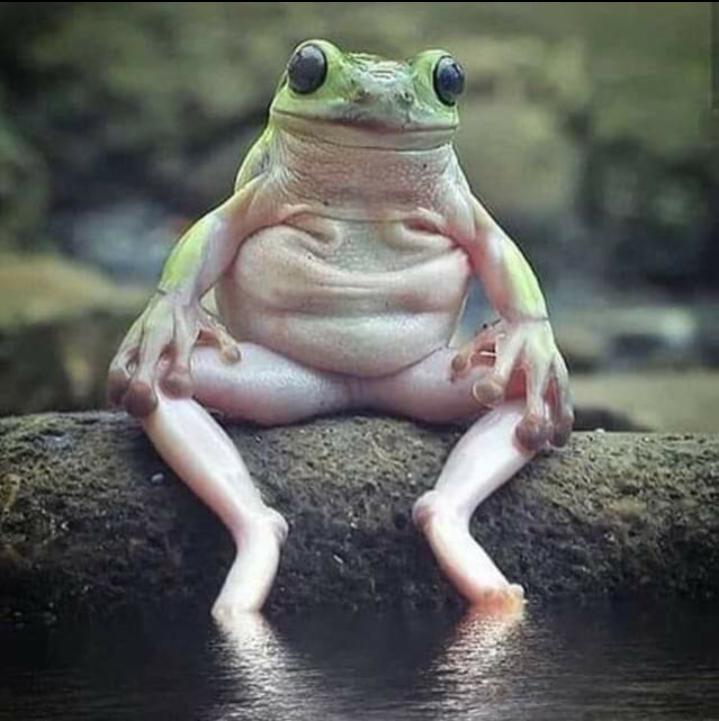 Name:  ٢٠٢٣٠٤٢٠_١٩٠٦٢١.jpg
Views: 141
Size:  57.0 KB