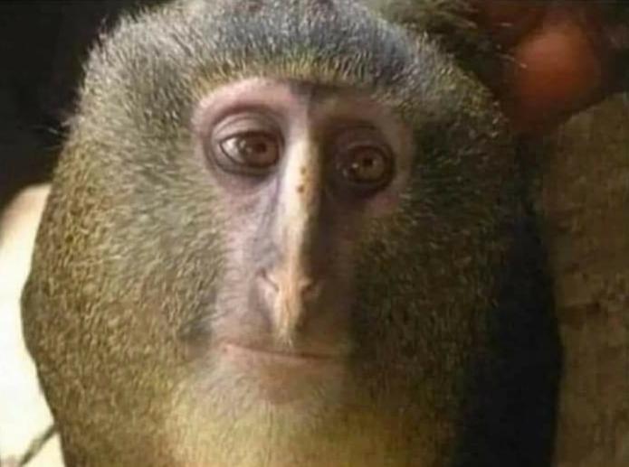 Name:  Polish_٢٠٢٣٠٦١٣_٢٣١٩٣٣١٣٢.jpg
Views: 47
Size:  34.5 KB