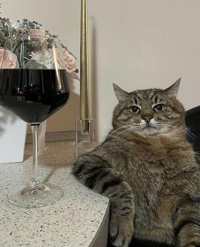 Name:  Polish_٢٠٢٣٠٦١٣_١٢٣٢٣٧٢٩١.jpg
Views: 38
Size:  93.3 KB