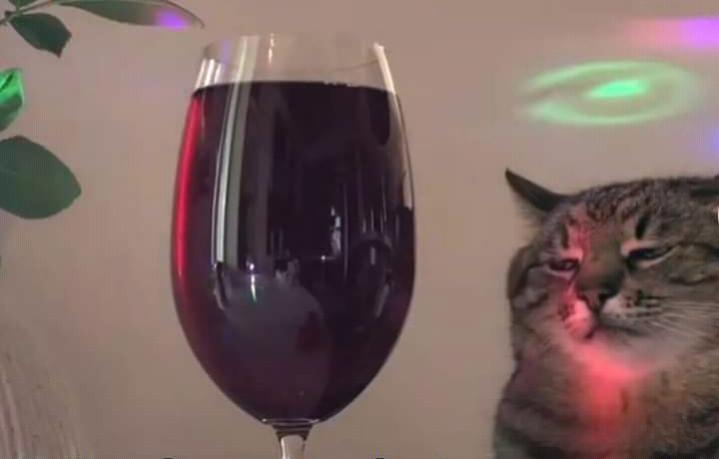 Name:  Polish_٢٠٢٣٠٦١٣_١٢٣٣٠٢٩٩٤.jpg
Views: 39
Size:  20.8 KB