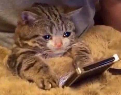 Name:  ٢٠٢٢٠٣٠٩_١٩٣٠٠٦.jpg
Views: 49
Size:  19.8 KB