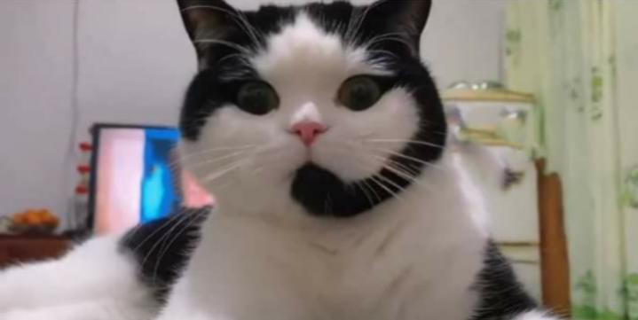 Name:  Polish_٢٠٢٣٠٦١٤_١٩٤٨٥١١١٢.jpg
Views: 672
Size:  20.1 KB