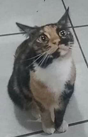 Name:  Polish_٢٠٢٣٠٦١٤_١٩٤٩٢١٦١٤.png
Views: 675
Size:  91.1 KB