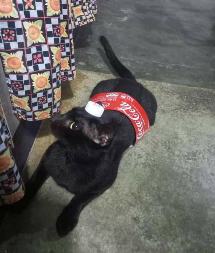 Name:  Polish_٢٠٢٣٠٦١٦_٢٠٢٣٤٦٦٦٨.jpg
Views: 977
Size:  74.0 KB