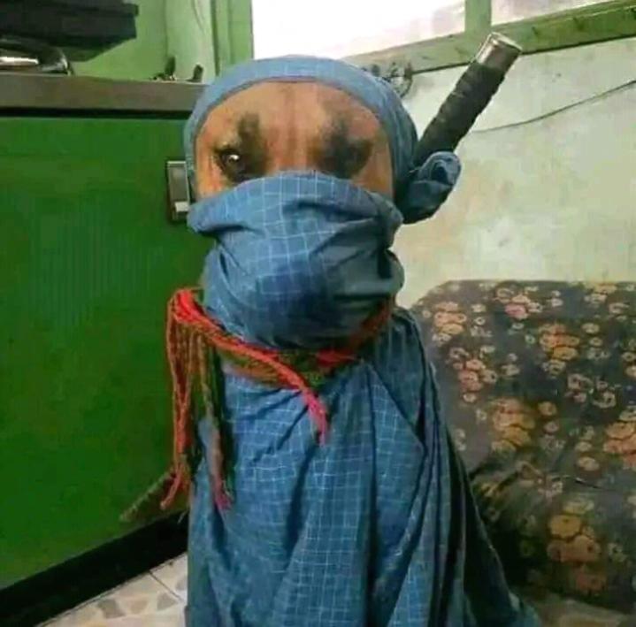 Name:  Polish_٢٠٢٣٠٦١٦_٢٠١٩٤٤١٧٠.jpg
Views: 244
Size:  51.5 KB