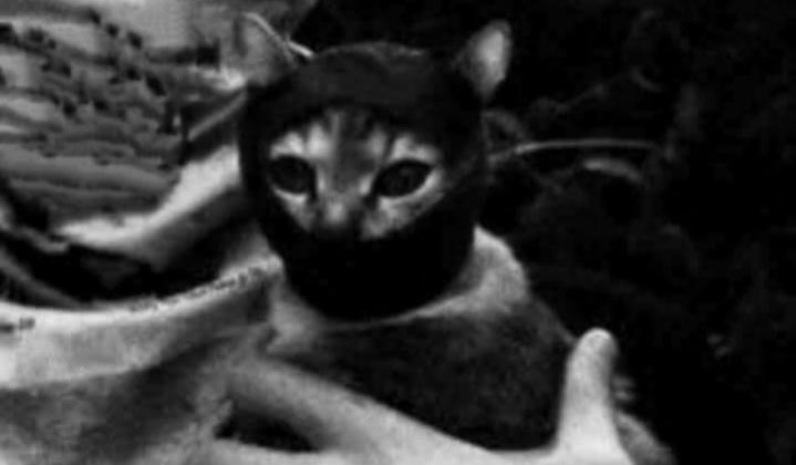 Name:  Polish_٢٠٢٣٠٦١٦_٢١٠٤٤٧٦٩٧.jpg
Views: 235
Size:  23.5 KB