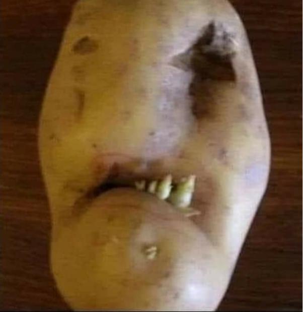 Name:  Polish_٢٠٢٣٠٦١٦_٢١٣٠٢٩٧١٧.jpg
Views: 488
Size:  26.4 KB