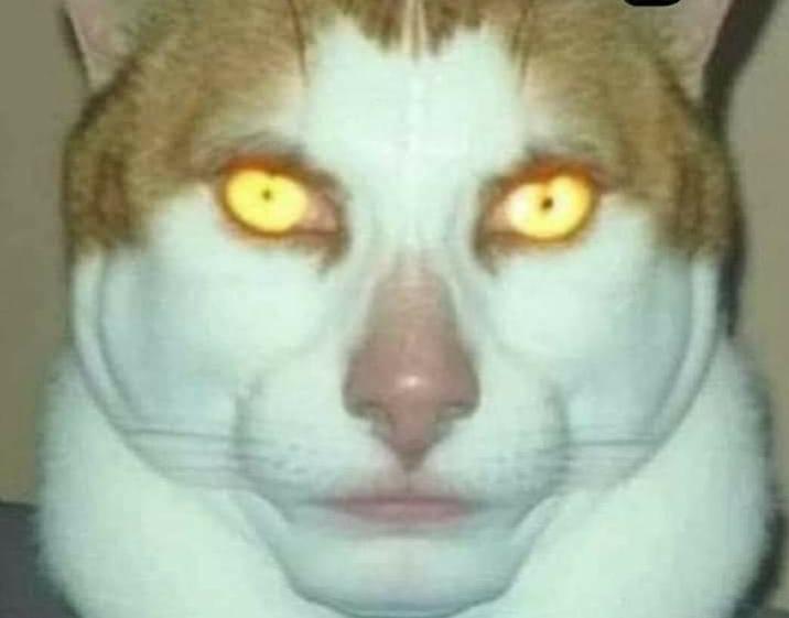 Name:  Polish_٢٠٢٣٠٦١٦_٢١٢٩٤٤٦٣٥.jpg
Views: 406
Size:  25.5 KB