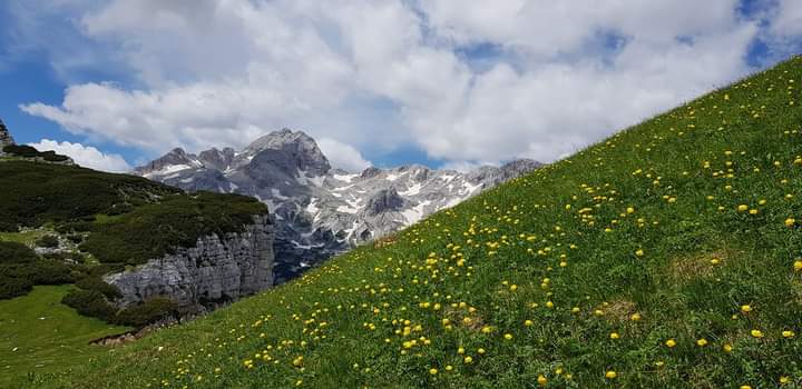 Nombre:  FB_IMG_1687616030178.jpg
Visitas: 232
Tamaño: 40.9 KB